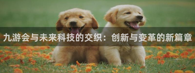 公盈聚富