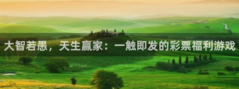 聚富资本