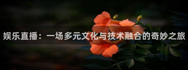 吕梁聚富花园现在情况