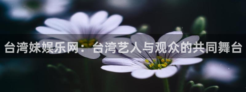 聚富通第三方支付：台湾妹娱乐网：台湾艺人与观众的共同舞台