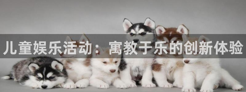 聚富钱包：儿童娱乐活动：寓教于乐的创新体验
