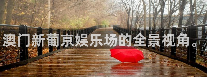 聚富人：澳门新葡京娱乐场的全景视角。