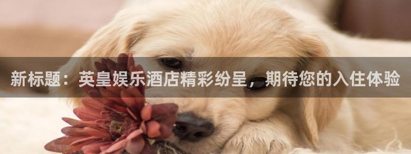 上海灿虹聚富大厦办公楼出租：新标题：英皇娱乐酒店精彩纷呈，期待您的入住体验
