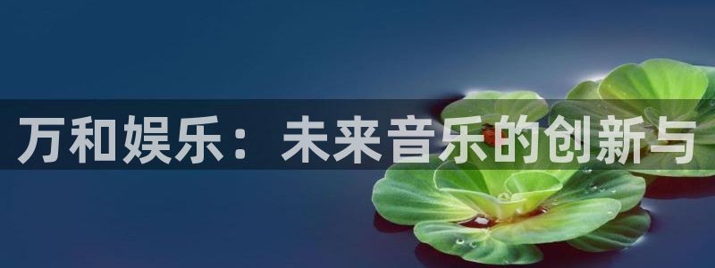 东莞黄江聚富西餐厅：万和娱乐：未来音乐的创新与