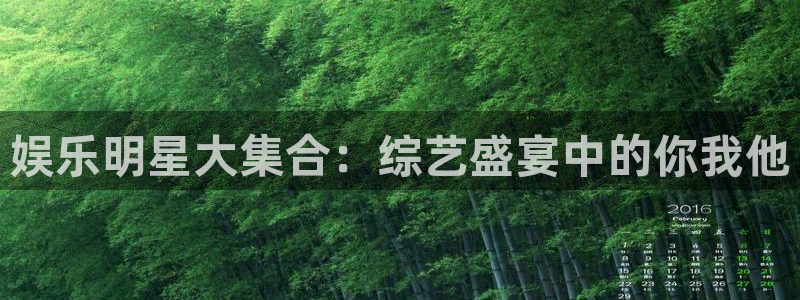 聚富分期：娱乐明星大集合：综艺盛宴中的你我他