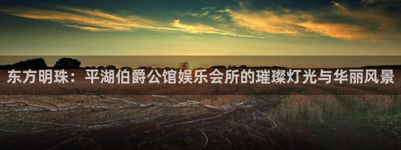 工银聚富是什么：东方明珠：平湖伯爵公馆娱乐会所的璀璨灯光与华丽风景