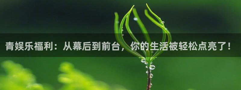 天津大舞台聚富圣会：青娱乐福利：从幕后到前台，你的生活被轻松点亮了！