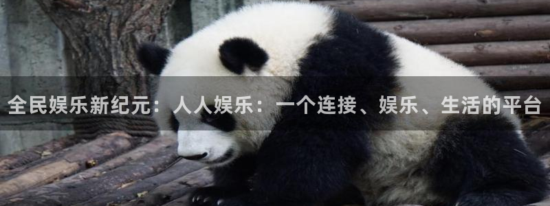 聚富网络：全民娱乐新纪元：人人娱乐：一个连接、娱乐、生活的平台