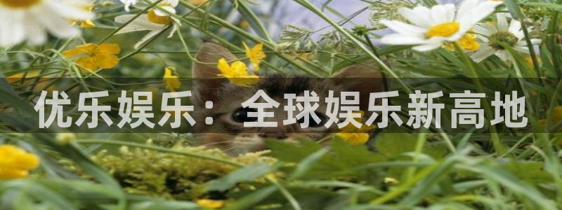 聚富通支付：优乐娱乐：全球娱乐新高地