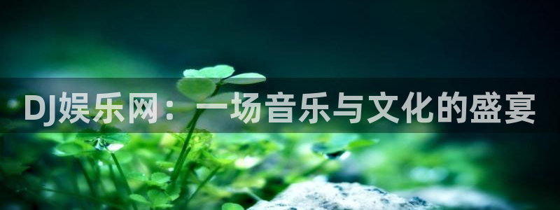东莞聚富发泡胶：DJ娱乐网：一场音乐与文化的盛宴