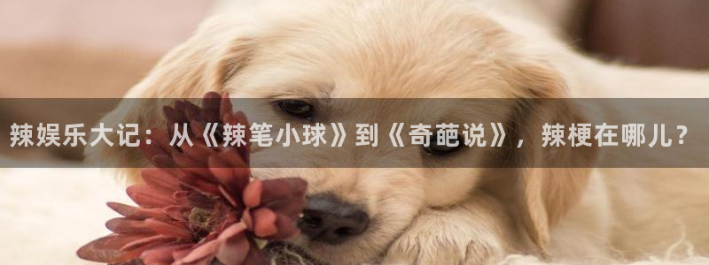 聚富人：辣娱乐大记：从《辣笔小球》到《奇葩说》，辣梗在哪儿？