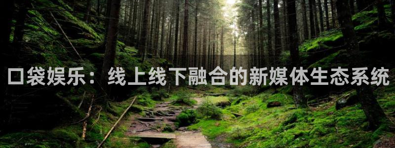 工银聚富怎么样：口袋娱乐：线上线下融合的新媒体生态系统