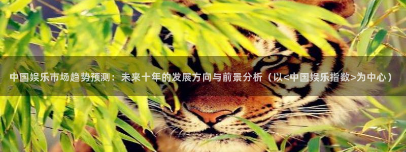 聚富通支付：中国娱乐市场趋势预测：未来十年的发展方向与前景分析（以<中国娱乐指数>为中心）