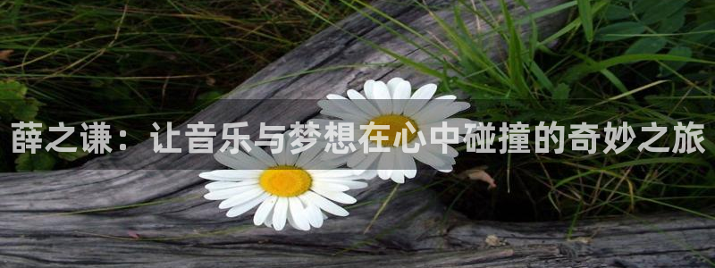 重庆聚富集团