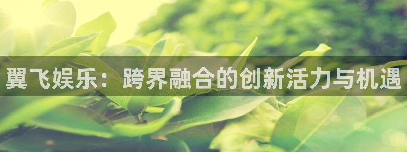 聚富人：翼飞娱乐：跨界融合的创新活力与机遇