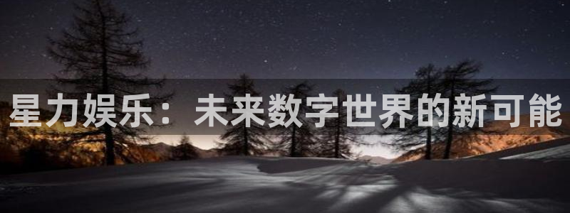 工银聚富482o02：星力娱乐：未来数字世界的新可能