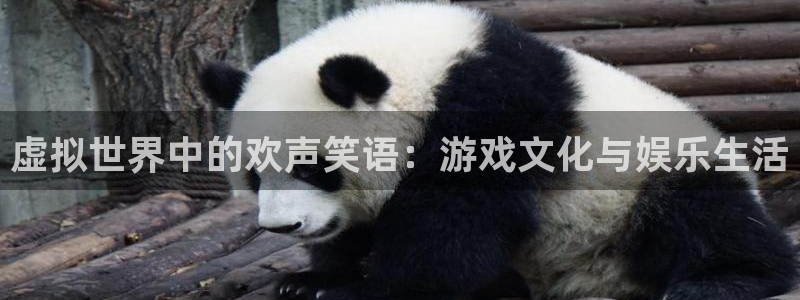 聚富年年：虚拟世界中的欢声笑语：游戏文化与娱乐生活