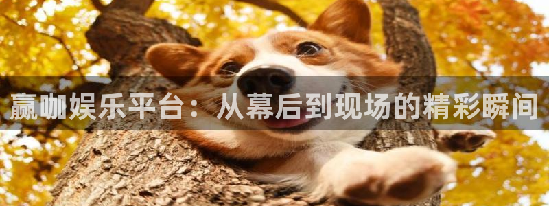 东莞常平镇聚富花园