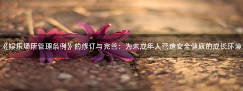 聚富金：《娱乐场所管理条例》的修订与完善：为未成年人营造安全健康的成长环境