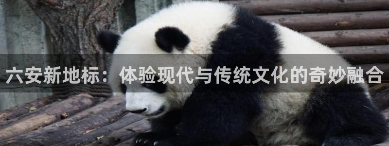 聚富6号年金保险万能型 收益：六安新地标：体验现代与传统文化的奇妙融合