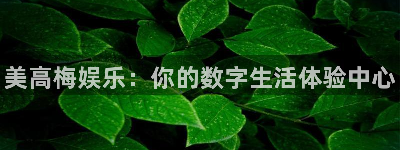 东莞常平聚富花园别墅