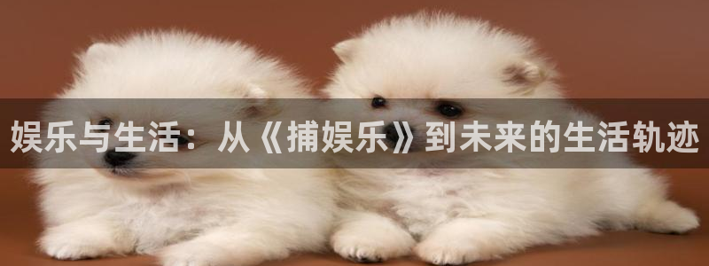 离石聚富花园最新消息：娱乐与生活：从《捕娱乐》到未来的生活轨迹