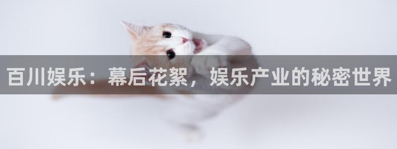 工银聚富482002：百川娱乐：幕后花絮，娱乐产业的秘密世界