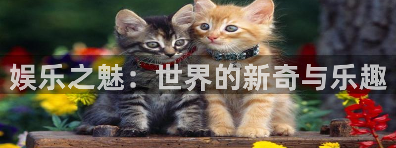 国京聚富控股集团有限公司：娱乐之魅：世界的新奇与乐趣