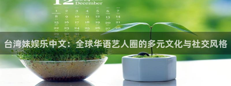 上海灿虹聚富大厦办公楼出租：台湾妹娱乐中文：全球华语艺人圈的多元文化与社交风格