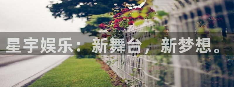 浙江聚富锡箔纸业有限公司：星宇娱乐：新舞台，新梦想。