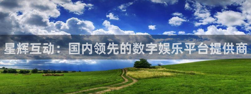 天津聚富圣会休闲浴场：星辉互动：国内领先的数字娱乐平台提供商